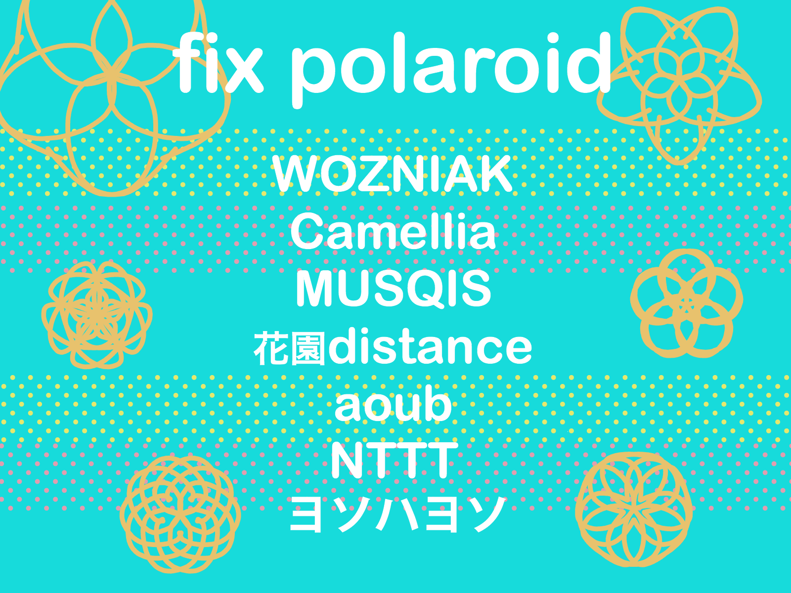 fix polaroid