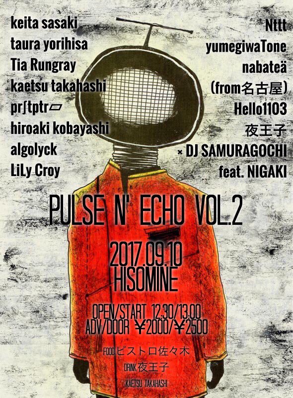 pulse n' echo vol.2